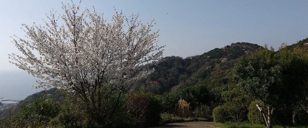 神戸ヒヨコ登山会